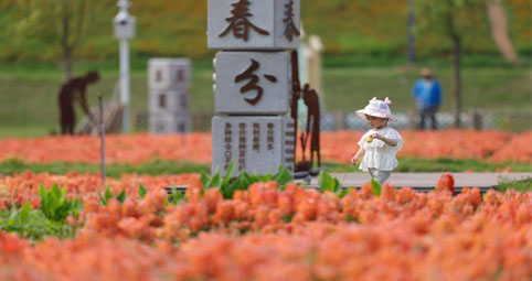 ◎ 2026年度中央财政支持实施城市更新行动启动