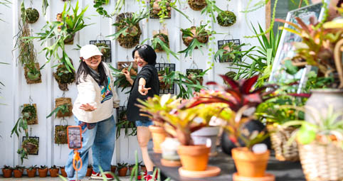 杭州乡村里火热的“春日经济”